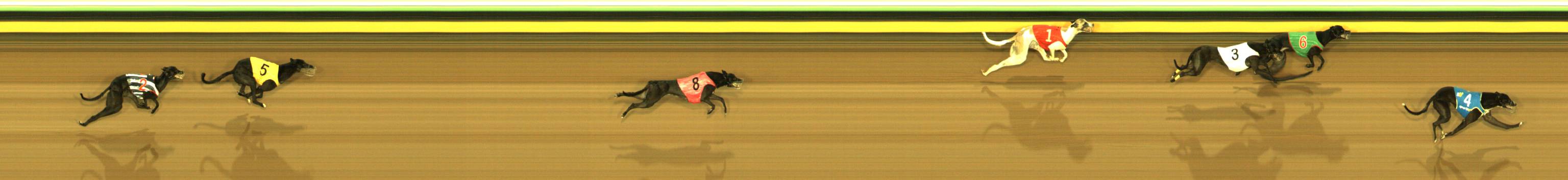 Race result finish photo